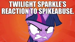 Size: 1920x1080 | Tagged: safe, edit, edited screencap, screencap, character:twilight sparkle, character:twilight sparkle (alicorn), species:alicorn, species:pony, episode:once upon a zeppelin, g4, my little pony: friendship is magic, abuse, angry, caption, female, gritted teeth, image macro, implied spike, solo, spike justice warriors, spikeabuse, text