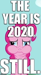 Size: 369x671 | Tagged: safe, edit, edited screencap, screencap, character:pinkie pie, episode:read it and weep, g4, my little pony: friendship is magic, 2020, captain obvious, caption, cropped, edited edit, fact, female, image macro, meme, solo, text, updated