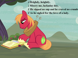 Size: 960x720 | Tagged: safe, edit, edited screencap, screencap, character:big mcintosh, episode:hard to say anything, g4, my little pony: friendship is magic, book, cropped, gilbert and sullivan, i have a song to sing o, lyrics, our town, sad, song reference, text, the yeomen of the guard, tree