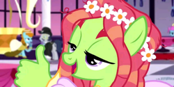 Size: 720x361 | Tagged: safe, edit, edited screencap, screencap, character:tree hugger, species:earth pony, species:pony, episode:make new friends but keep discord, g4, my little pony: friendship is magic, suddenly hands, thumbs up, totally legit recap