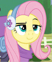 Size: 382x458 | Tagged: safe, edit, edited screencap, screencap, character:fluttershy, species:pegasus, species:pony, episode:dungeons & discords, amused, clothing, female, inverted mouth, mare, raised eyebrow, winter outfit