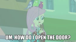 Size: 600x337 | Tagged: safe, edit, edited screencap, screencap, character:fluttershy, species:bird, species:rabbit, episode:tip toppings, g4, my little pony: equestria girls, my little pony:equestria girls, spoiler:eqg series (season 2), animal, caption, image macro, squirrel, text
