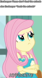 Size: 500x914 | Tagged: safe, edit, edited screencap, screencap, character:fluttershy, episode:a little birdie told me, g4, my little pony: equestria girls, my little pony:equestria girls, caption, female, image macro, imgflip, solo, text