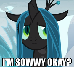 Size: 584x535 | Tagged: safe, edit, edited screencap, screencap, character:queen chrysalis, species:changeling, species:pony, episode:frenemies, g4, my little pony: friendship is magic, season 9, spoiler:s09, a better ending for chrysalis, adorable distress, adorkable, alternate ending, alternate scenario, alternate universe, anxiety, apology, awkward, baby talk, breakdown, caption, changeling queen, character development, cropped, cute, cutealis, dialogue, dork, dorkalis, faec, female, frown, good end, image macro, impact font, insecure, looking at you, majestic as fuck, mare, meta, nervous, precious, reaction image, redemption, reformed, regret, sad, sadorable, shy, silly, silly pony, solo, sorry, spread wings, standing, talking, text, what if, wings, worried