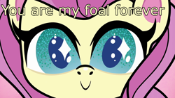 Size: 1920x1080 | Tagged: safe, edit, edited screencap, screencap, character:fluttershy, species:pegasus, species:pony, g4.5, my little pony:pony life, spoiler:pony life s01e07, caption, cute, female, giantshy, image macro, shyabetes, solo, starry eyes, text, the trail less trotten, wingding eyes