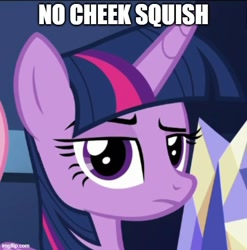 Size: 500x507 | Tagged: safe, edit, edited screencap, screencap, character:twilight sparkle, character:twilight sparkle (alicorn), species:alicorn, species:pony, episode:flutter brutter, g4, my little pony: friendship is magic, caption, cropped, female, image macro, looking at you, mare, raised eyebrow, solo, text