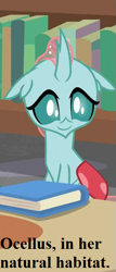 Size: 273x637 | Tagged: safe, edit, edited screencap, screencap, character:ocellus, species:changedling, species:changeling, species:reformed changeling, episode:what lies beneath, g4, my little pony: friendship is magic, book, bookbug, bookshelf, cropped, cute, diaocelles, library, school of friendship, text