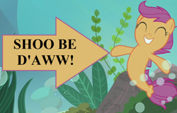 Size: 900x576 | Tagged: safe, edit, edited screencap, screencap, character:scootaloo, species:pegasus, species:pony, species:seapony (g4), episode:surf and/or turf, g4, my little pony: friendship is magic, bubble, caption arrow, cropped, cute, cutealoo, happy, pun, seaponified, seapony scootaloo, seaweed, shoo be doo, species swap, text, underwater