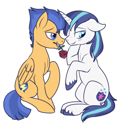 Size: 500x500 | Tagged: safe, artist:lulubell, character:flash sentry, character:shining armor, backwards cutie mark, blushing, cute, flower, flower in mouth, gay, husbando thief, male, mouth hold, rose, shiningsentry, shipping, simple background, transparent background, unshorn fetlocks