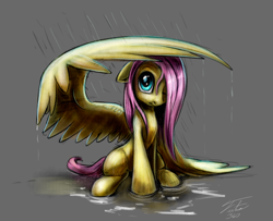 Size: 900x731 | Tagged: safe, artist:tsitra360, character:fluttershy, species:pegasus, species:pony, female, hair over one eye, mare, one eye closed, rain, sitting, solo, wing umbrella