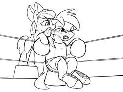 Size: 1200x899 | Tagged: safe, artist:tsitra360, character:apple bloom, character:big mcintosh, species:earth pony, species:pony, boxing, boxing gloves, brother and sister, female, filly, male, monochrome, requested art, simple background, sketch, sports, stallion, towel, white background