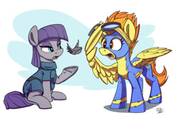 Size: 1200x793 | Tagged: safe, artist:tsitra360, character:boulder, character:maud pie, character:spitfire, species:earth pony, species:pegasus, species:pony, abstract background, clothing, female, flying, friendshipping, goggles, mare, open mouth, princess boulder, shocked, sitting, underhoof, uniform, wings, wonderbolts uniform