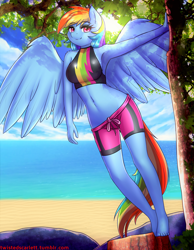 Size: 2332x3000 | Tagged: safe, artist:twistedscarlett60, character:rainbow dash, species:anthro, species:pegasus, species:plantigrade anthro, equestria girls:forgotten friendship, g4, my little pony: equestria girls, armpits, barefoot, beach, belly button, breasts, busty rainbow dash, equestria girls outfit, eyebrows, eyebrows visible through hair, feet, female, looking at you, mare, midriff, ocean, skinny, smiling, solo, spread wings, stupid sexy rainbow dash, tree, wings