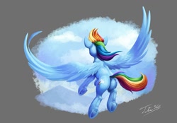 Size: 1500x1043 | Tagged: safe, artist:tsitra360, character:rainbow dash, species:pegasus, species:pony, female, gray background, mare, plot, signature, simple background, solo, wings