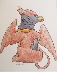 Size: 1047x1318 | Tagged: safe, artist:tsitra360, oc, oc only, oc:peregrine, species:griffon, griffon oc, grin, head turn, looking at you, looking back, looking back at you, male, preening, simple background, sitting, smiling, solo, traditional art, white background, wings