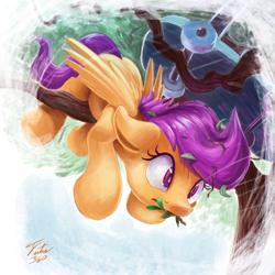 Size: 900x900 | Tagged: safe, artist:tsitra360, character:scootaloo, species:pegasus, species:pony, crash, derp, fail, female, filly, floppy ears, frown, scootacrash, scooter, solo, stuck, tree, wide eyes