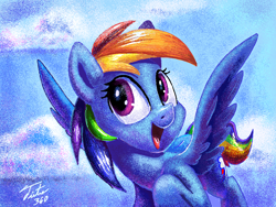 Size: 1024x768 | Tagged: safe, artist:tsitra360, character:rainbow dash, challenge, cloud, cloudy, female, flying, legitimately amazing mspaint, ms paint, open mouth, paintbrush (app), signature, sky, solo