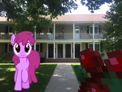 Size: 2049x1537 | Tagged: safe, artist:estories, artist:topsangtheman, character:berry punch, character:berryshine, species:earth pony, species:pony, berry, food, house, irl, looking at you, minecraft, offscreen character, photo, photoshopped into minecraft, ponies in real life, pov, tree