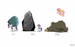 Size: 1920x1200 | Tagged: safe, artist:mysticalpha, character:fluttershy, character:harry, character:rarity, character:tom, bear, discorded, filly, rock, wallpaper