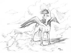 Size: 1100x822 | Tagged: safe, artist:baron engel, oc, oc only, species:pegasus, species:pony, cheek fluff, grayscale, monochrome, pencil drawing, solo, traditional art