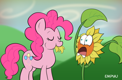 Size: 1000x661 | Tagged: safe, artist:empyu, character:pinkie pie, episode:do princesses dream of magic sheep?, d:, eating, eyes closed, flower, frown, herbivore, horses doing horse things, nightmare sunflower, open mouth, puffy cheeks, smiling, sunflower, wide eyes