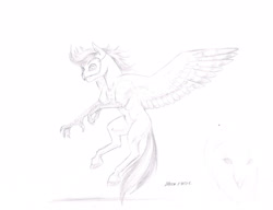 Size: 3228x2478 | Tagged: safe, artist:baron engel, oc, oc only, oc:silent flight, species:hippogriff, species:owl, mask, monochrome, pencil drawing, traditional art