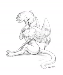 Size: 1200x1422 | Tagged: safe, artist:baron engel, oc, oc only, oc:petina, species:griffon, griffonized, looking at you, monochrome, pencil drawing, sketch, solo, species swap, traditional art