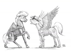 Size: 1400x1070 | Tagged: safe, artist:baron engel, character:thunderlane, oc, oc:black rain, oc:sky brush, species:pegasus, species:pony, angry, duo, goggles, grayscale, monochrome, pencil drawing, sketch, spread wings, story included, traditional art, wings