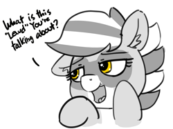 Size: 1280x958 | Tagged: safe, artist:pabbley, oc, oc only, oc:bandy cyoot, ask, dialogue, open mouth, raccoon pony, seems legit, solo, tumblr