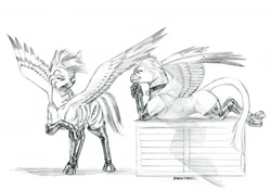 Size: 1400x973 | Tagged: safe, artist:baron engel, oc, oc only, oc:keyboard, oc:scarlet tips, species:griffon, species:pegasus, species:pony, boots, duo, female, grayscale, griffon oc, mare, monochrome, pencil drawing, prone, shoes, simple background, smiling, traditional art, white background