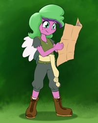 Size: 800x1000 | Tagged: safe, artist:empyu, oc, oc only, oc:sweetgrape, my little pony:equestria girls, equestria girls-ified, map, solo