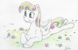 Size: 1683x1081 | Tagged: safe, artist:silfoe, character:blossomforth, species:pegasus, species:pony, g4, :t, adoraforth, commission, cute, female, flower, grass, looking at something, lying down, mare, prone, signature, smiling, solo, sploot, three quarter view, traditional art, underhoof, wing fluff