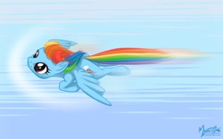 Size: 1680x1050 | Tagged: safe, artist:mysticalpha, character:rainbow dash, species:pegasus, species:pony, g4, female, flying, mare, solo, wallpaper