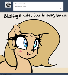 Size: 500x555 | Tagged: safe, artist:slavedemorto, oc, oc only, oc:backy, species:earth pony, species:pony, ask, blushing, cute, dialogue, smiling, solo, tumblr