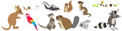 Size: 1086x278 | Tagged: safe, artist:selenaede, species:parrot, species:rabbit, animal, beaver, bee, caterpillar, chipmunk, cricket (insect), ferret, insect, kangaroo, ladybug, macaw, mouse, otter, raccoon, scarlet macaw, simple background, skunk, squirrel, wasp, white background