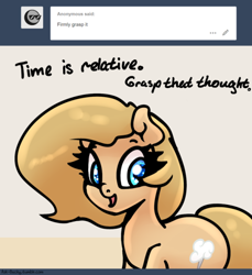 Size: 500x547 | Tagged: safe, artist:slavedemorto, oc, oc only, oc:backy, species:earth pony, species:pony, ask, double entendre, physics, solo, time, tumblr