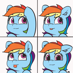 Size: 1500x1500 | Tagged: safe, artist:pabbley, character:rainbow dash, species:pegasus, species:pony, 30 minute art challenge, :3, blep, cute, dashabetes, ear fluff, female, floppy ears, looking at you, looking up, loss (meme), loss edit, mare, meme, silly, silly pony, simple background, smiling, solo, tongue out, white background