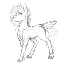 Size: 859x865 | Tagged: safe, artist:askbubblelee, oc, oc only, oc:singe, species:pony, body freckles, facial hair, freckles, goatee, male, missing wing, monochrome, realistic anatomy, realistic horse legs, simple background, sketch, smiling, solo, stallion, tail feathers, white background
