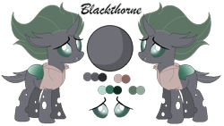 Size: 774x435 | Tagged: safe, artist:mlpcrystalharmony, artist:selenaede, base used, oc, oc only, oc:blackthorne, species:changeling, changeling oc, clothing, female, green changeling, pirate, reference sheet, shirt, simple background, solo, transparent background