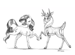 Size: 1400x1022 | Tagged: safe, artist:baron engel, character:rarity, character:velvet reindeer, species:pony, species:unicorn, them's fightin' herds, cloven hooves, dock, female, grayscale, mare, monochrome, pencil drawing, raised hoof, simple background, sketch, smiling, traditional art, white background