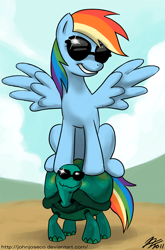Size: 800x1210 | Tagged: safe, artist:johnjoseco, character:rainbow dash, character:tank, species:pegasus, species:pony, g4, adobe imageready, duo, female, mare, riding, sunglasses, too cool for school, tortoise