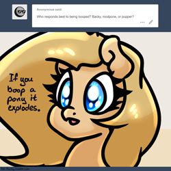 Size: 1280x1280 | Tagged: safe, artist:slavedemorto, oc, oc:backy, ask, if you boop a pony it explodes, tumblr