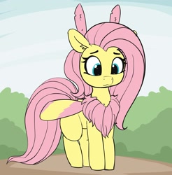 Size: 1413x1434 | Tagged: safe, artist:pabbley, character:fluttershy, species:mothpony, 30 minute art challenge, :3, bush, chest fluff, cute, ear fluff, female, fluffershy, fluffy, fluttermoth, monster mare, moth, original species, rosy maple moth, shyabetes, smiling, solo, species swap