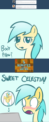 Size: 1280x3164 | Tagged: safe, artist:johnjoseco, character:sunshower raindrops, species:pony, ask, body pillow, computer, laptop computer, raindropsanswers, tumblr