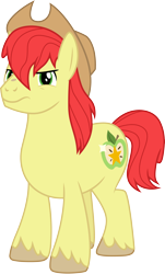 Size: 3000x4968 | Tagged: safe, artist:cloudyglow, character:bright mac, species:earth pony, species:pony, episode:the perfect pear, g4, my little pony: friendship is magic, male, solo, stallion, vector