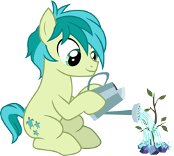 Size: 3349x3000 | Tagged: safe, artist:cloudyglow, character:sandbar, species:earth pony, species:pony, episode:uprooted, g4, my little pony: friendship is magic, .ai available, cute, male, sandabetes, sapling, simple background, solo, transparent background, vector, watering can