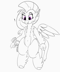 Size: 1280x1525 | Tagged: safe, artist:pabbley, character:silverstream, species:hippogriff, 30 minute art challenge, belly button, clothing, female, hippogriff wonderbolt, lineart, non-pegasus wonderbolt, solo, uniform, wonderbolt silverstream, wonderbolts uniform