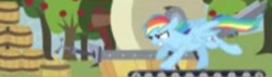 Size: 441x126 | Tagged: safe, artist:egophiliac, character:rainbow dash, species:pony, episode:the super speedy cider squeezy 6000, g4, my little pony: friendship is magic, apple tree, barrels, female, game:the super speedy cider squeezy 6000, low quality, running, solo, treadmill, tree