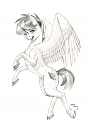 Size: 1000x1395 | Tagged: safe, artist:baron engel, oc, oc:apogee, species:pegasus, species:pony, colored hooves, female, filly, grayscale, mare, monochrome, pencil drawing, simple background, sketch, solo, traditional art, white background