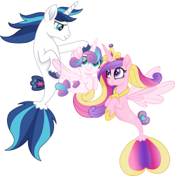 Size: 1493x1500 | Tagged: safe, artist:cloudyglow, character:princess cadance, character:princess flurry heart, character:shining armor, species:seapony (g4), crown, cute, cutedance, daughter, family, female, fin wings, fins, flurrybetes, hooves, jewelry, looking at you, male, mother and father, movie accurate, regalia, royal family, seaponified, seapony cadance, seapony flurry heart, seapony shining armor, shining adorable, simple background, smiling, species swap, tail, transparent background, wings